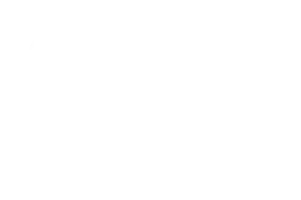 CSS
